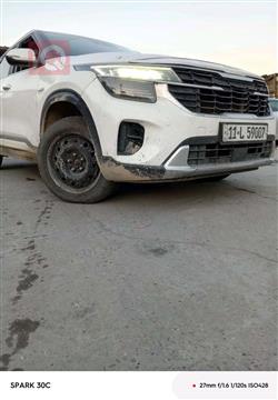 کیا سێلتۆس